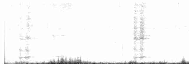 Ring-necked Pheasant - ML618200258