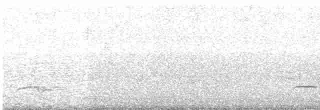 lejsek bleděmodrý - ML618201273