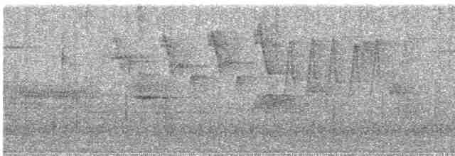 Paruline à joues grises - ML618201953