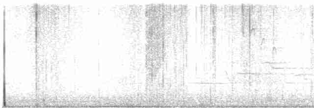 Дрізд-короткодзьоб плямистоволий - ML618202179
