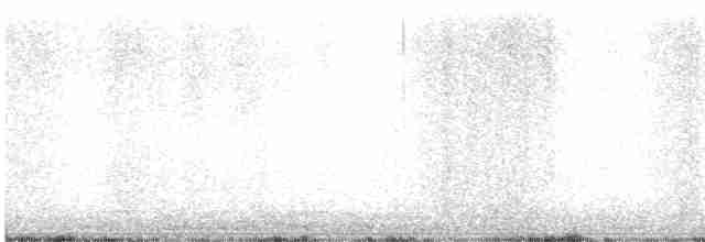 Ring-necked Pheasant - ML618202557