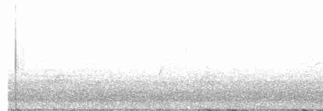 Common Yellowthroat - ML618203872