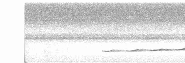 Fork-tailed Drongo-Cuckoo - ML618204948