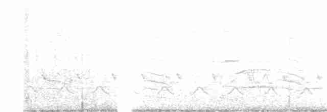 lesňáček černohlavý - ML618204974