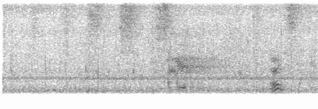 オウム目（インコ科 大きな種） - ML618205137