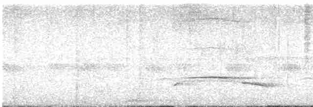 Boz Başlı Sinekkapan - ML618205254