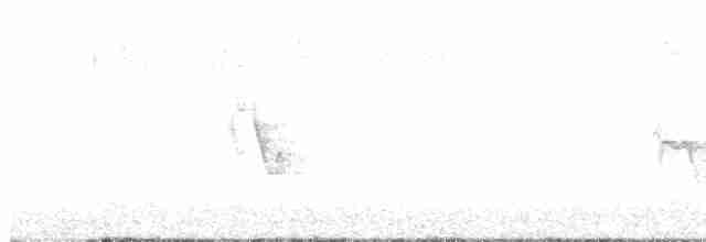 Сероголовый виреон - ML618205521