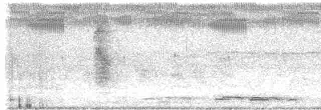 Кустарниковая кукушка [группа variolosus] - ML618205631