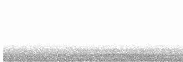 Eurasian Oystercatcher - ML618206243