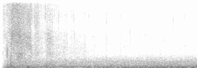 Дрізд-короткодзьоб Cвенсона - ML618206911