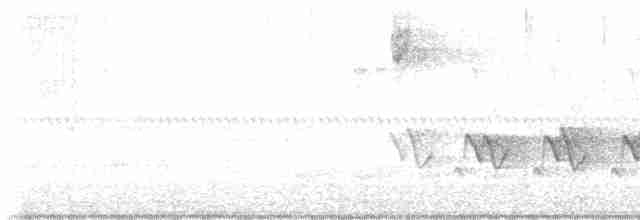 Kentucky Warbler - ML618207278