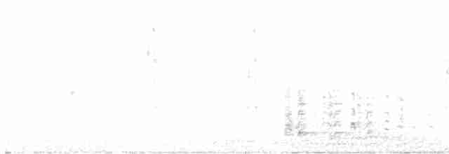krocan divoký - ML618208163