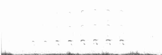 Fischadler (carolinensis) - ML618208300