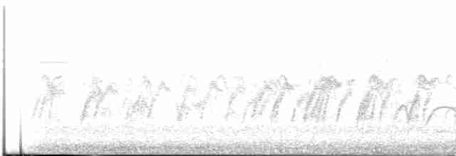 シロエリトゲオアマツバメ - ML618209124