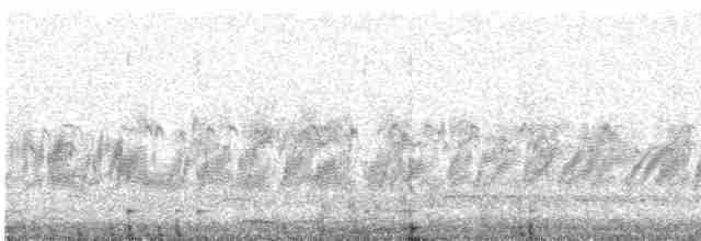 シロエリトゲオアマツバメ - ML618209125