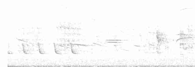 Белокрылый бекард - ML618209325