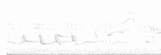 Белокрылый бекард - ML618209326