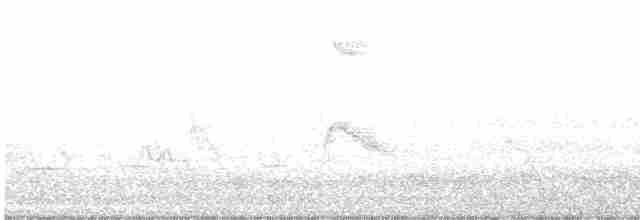 Дрізд-короткодзьоб малий - ML618209360