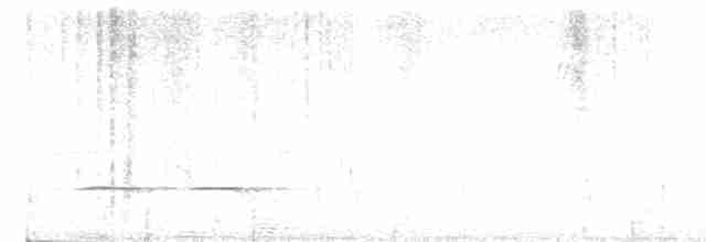 Ak Karınlı Yerçavuşu - ML618210511