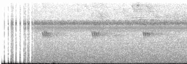 Tüpfelkronen-Ameisenvogel - ML618210831
