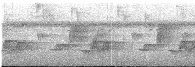 Тиран-карлик буроголовий - ML618210853