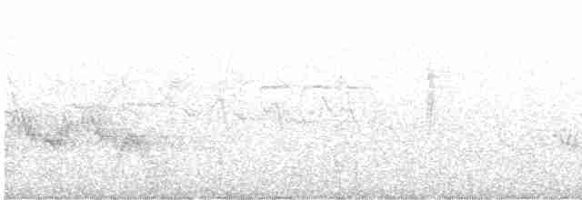 Черноспинный трёхпалый дятел - ML618211088