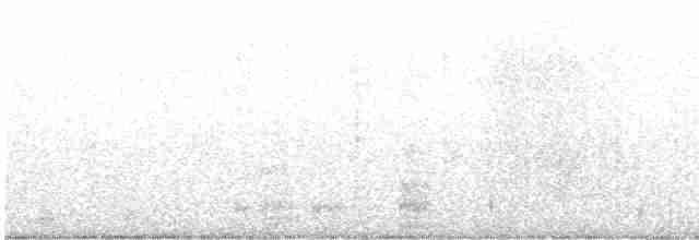 Червоїд сіроголовий - ML618211117
