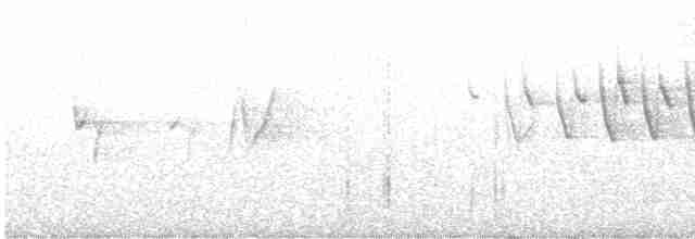 Червоїд сіроголовий - ML618211118