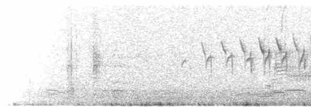 Paruline à croupion jaune (coronata) - ML618211527