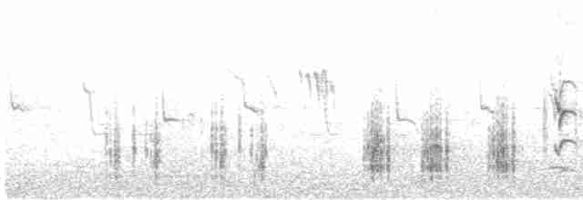Great Reed Warbler - ML618211622