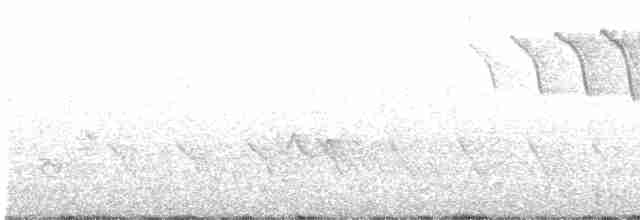 American Redstart - ML618212124
