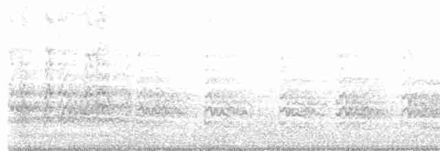Кайеннский чибис - ML618212252