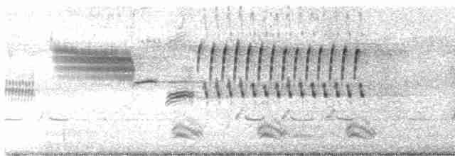 Длиннохвостый крапивник - ML618213017
