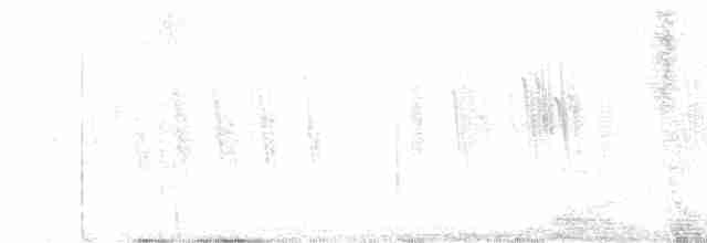 Білозорка фіолетова - ML618213023