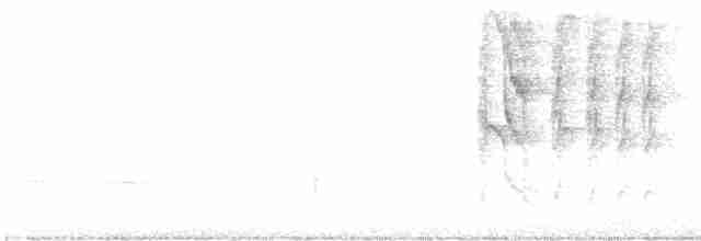 Ockerbürzel-Ameisenfänger - ML618214187