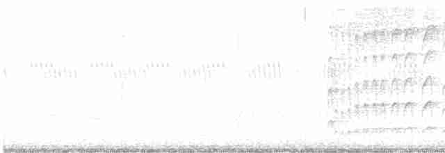 Тиран-інка буроголовий - ML618214321