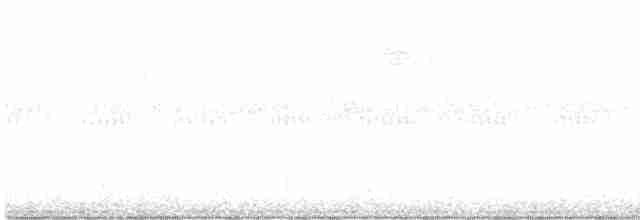 Тітіріджі сіроволий - ML618214330