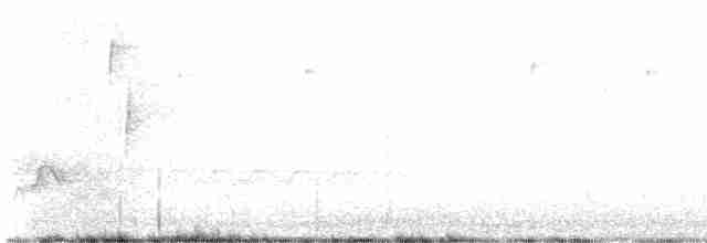 White-eyed Vireo - ML618214809