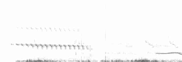White-throated Kingfisher - ML618214943