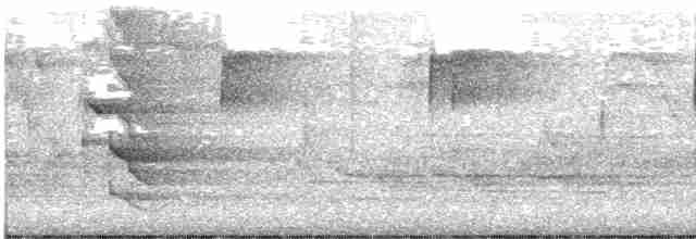 Cerulean Warbler - ML618215314