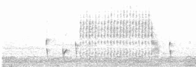 Troglodyte des marais - ML618215685