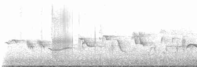 Oriole des vergers - ML618215707