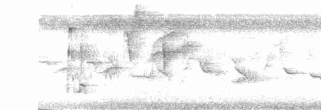 Морщинистоклювая ани - ML618215715