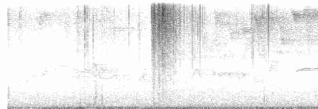 lesňáček černobílý - ML618216063
