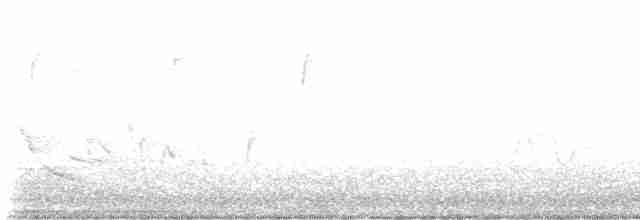 Canada Warbler - ML618216129