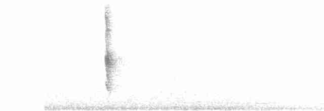 Cuitlacoche Ocelado - ML618216190