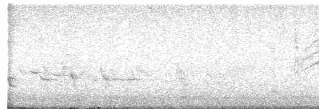 Green-tailed Towhee - ML618216483