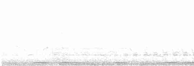 Кактусовый пересмешник - ML618216735