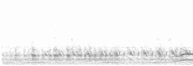 Кактусовый пересмешник - ML618216738