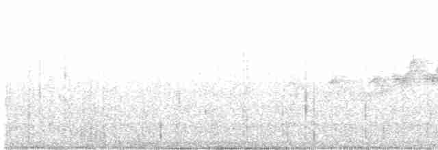 Black-throated Gray Warbler - ML618216980
